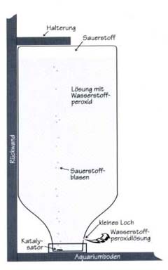 Skizze des Oxidators